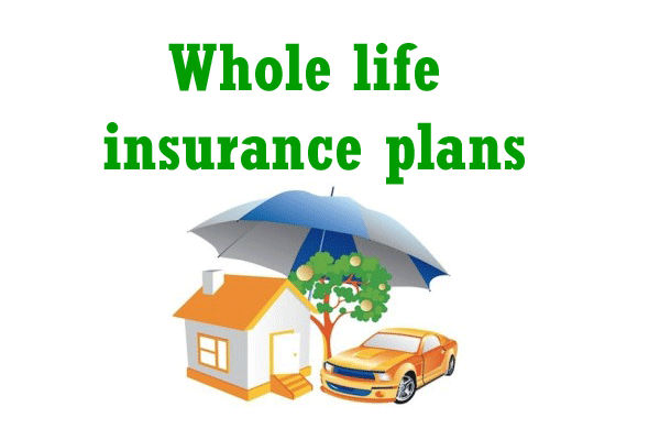 Whole-life-insurance-plans-